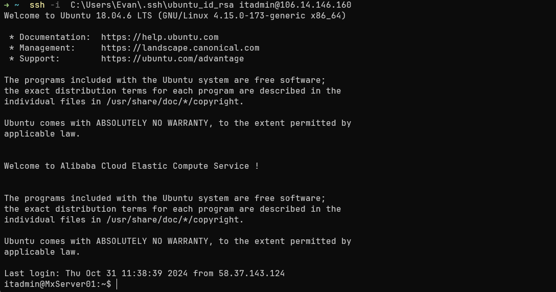 image-20241031114259676